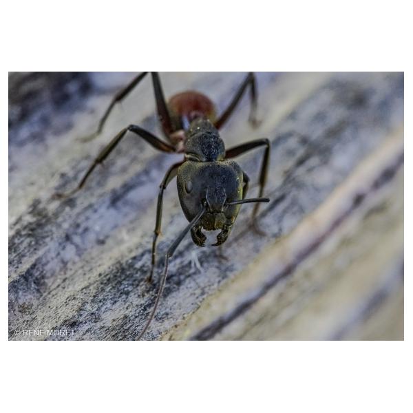 PHOTO84, CLUB, 84 , LUBERON